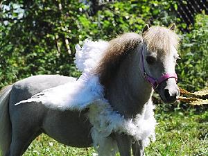 Mocha's Promise To Keep